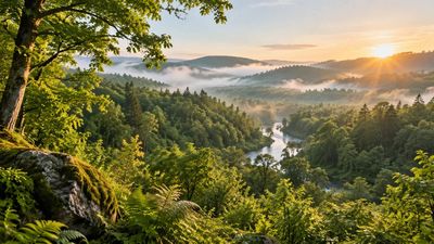 Aviva committed £38 million to a 100-year UK rainforest partnership. The long-term programme aims to restore lost habitats and develop new nature-based revenue streams