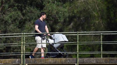 Dad support crucial in calls for parental leave changes