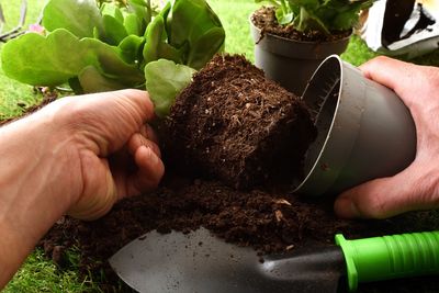 That Cheap Bag of Potting Soil May Cost You More in the Long Run — Here’s What to Check
