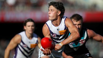 Why Docker Erasmus knocked back Eagles and Dogs