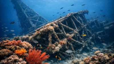 Lena Platform Reefing: ExxonMobil tower becomes deepwater reef; project preserves marine environment