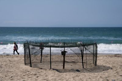Agency says sea turtle eggs laid on California beaches are a first for the US West Coast
