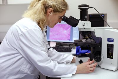 Stem-Like Immune Cells in Pancreatic Lymph Nodes May Help Explain Why Type 1 Diabetes Attacks Last for Years
