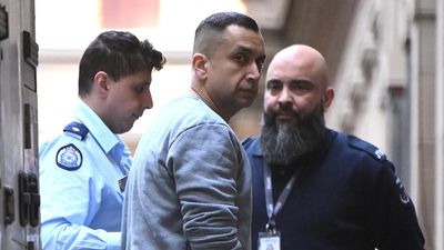 'Concerning' steps taken by chess pro's alleged stalker