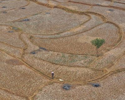Huge El Niño projected to cause more than 450,000 deaths by February