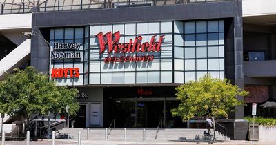 Man accused of attacking two boys in mall has 'intellectual capacity of a 10-year-old'