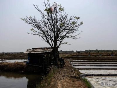 'Super' El Nino could bring 4.5 lakh excess deaths, India among vulnerable: Report