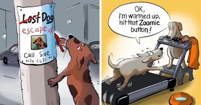 The World Through A Dog’s Eyes: 20 Hilarious Comics By This Artist Full Of Unpredictable Canine Logic