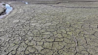'Godzilla' El Niño predicted to cause 451,000 more heat deaths: Which countries will suffer most?