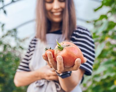I tried to become a gay tradwife – and failed abysmally