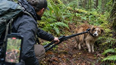 Tripod Helps Rescue Dog: hiker turns camera gear into leash; ID tag leads to tearful reunion