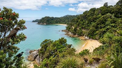 New Zealand spent 14 years restoring Abel Tasman and its native wildlife