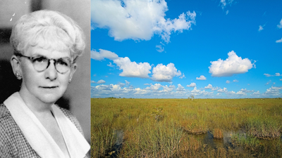 Everglades Fund Legacy: Douglas helps win $90m land plan; Miami-Dade program endures