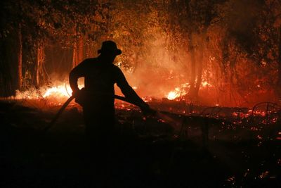 Nearly half a million people could die from El Nino heat in next six months, study says