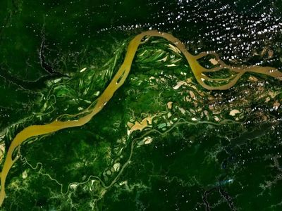 In 2018, researchers used satellite imagery to identify 81 ancient earthwork sites in the Amazon, providing evidence of pre-Columbian settlements