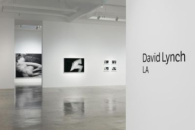 ‘He made something every single day’: David Lynch’s inscrutable photography celebrated in LA show