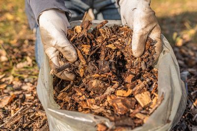 Stop Buying Mulch — 5 Free Materials You May Already Have