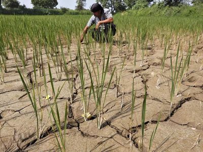 Super El Niño may kill 65 times more people than Nepal flash flood, report claims; lakhs may lose their lives in next six months