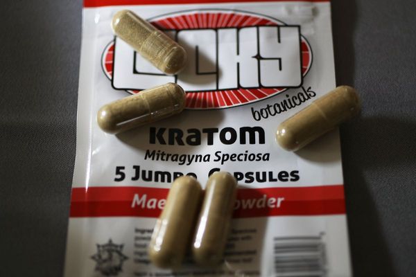Packaged kratom found at death scenes of two Ole Miss students. How dangerous is the drug?