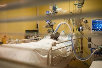 Pneumonia, Bronchitis, and RSV Top Americans' Most-Googled Respiratory Questions as Strep Rises and COVID Grows in Many States