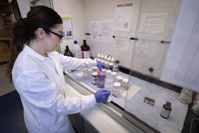Senators from Both Parties Push Back on Reported Plan for Political Appointees to Approve NIH Grants