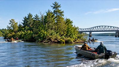 Forty Acre Bog: Floating forest drifts toward bridge; locals nudge it back by boat