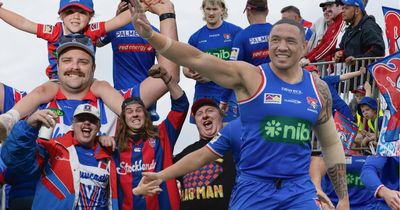 'Up the Knights!' Is this Newcastle team the greatest underdog story of the decade?