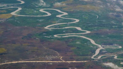 Tanzania restores Mpiji River after deforestation, planting trees to rebuild wildlife habitats now