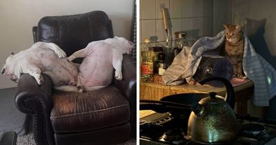 “Accidental Renaissance”: 102 Photos That Look Like They Should Belong In A Museum (New Pics)