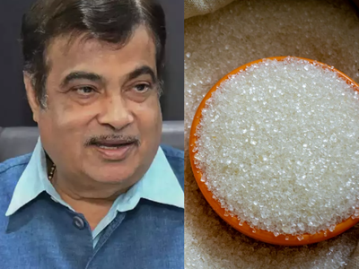 Nitin Gadkari says plain sugar's future is not bright: After E20, transport minister wants sugar mills to produce a gas that can be used in CNG vehicles and fuel that can power aircrafts