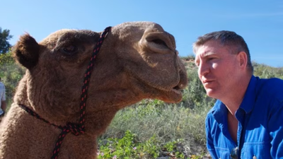 In 1998 David Mason walked 5,500km across Australia with camels in 236 days