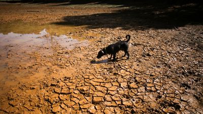 "Une carte postale du futur" : le "Super El Niño" menace de faire 450 000 morts