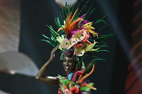 Former Miss Universe Jamaica Gabrielle Henry sues pageant organisation over stage fall