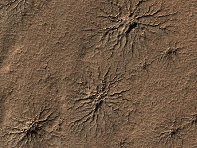 In 2016, 10,000 volunteers searched images of Mars for strange spider-like patterns; they found the formations in places where scientists hadn't seen them before