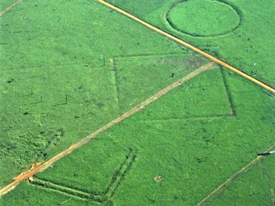 In 2023, a satellite-image model led archaeologists to 13 previously unknown Amazon geoglyphs, including one 444 metres across