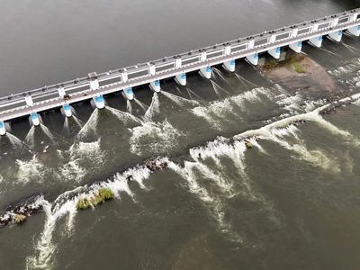 Cauvery water: SC asks Karnataka to respond to Tamil Nadu's plea alleging shortfall
