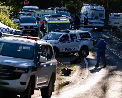 Second child dies after alleged Blue Mountains stabbing as mother faces additional murder charge