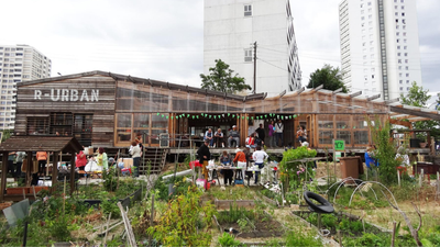 London residents turn food scraps into sauna fuel as community sauna is tested
