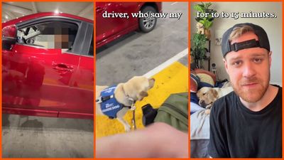 Nashville man claims Lyft driver illegally refused to allow his service dog in the car, then took advantage of a loophole to avoid repercussions