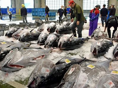 No need to avoid tuna over parasite reports from Brazil, says government