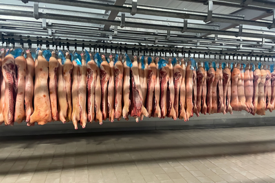 Roughly One Hundred Illinois Pork Plant Workers Walk Out After Co-Worker Dies During Overnight Shift