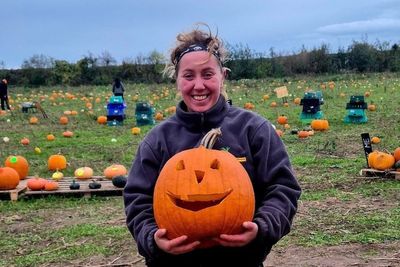 Instagram’s favourite pick-your-own pumpkin trend under threat