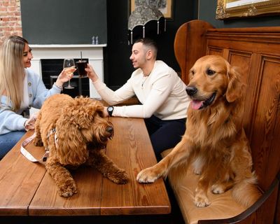 I love seeing pooches in pubs. But not everyone, human or canine, understands the etiquette