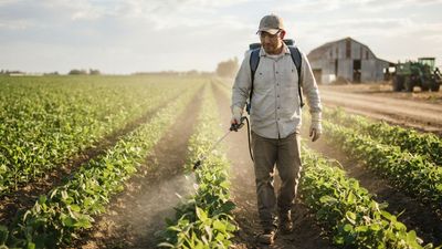 HHS and EPA Join Forces on Glyphosate Health Research as EPA Readies Its Cancer Review for Early 2027