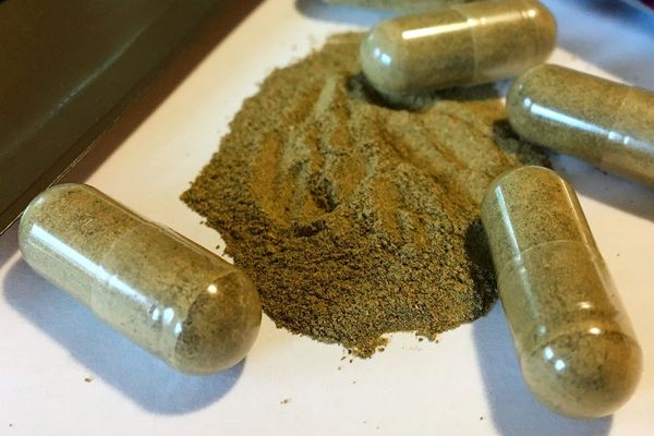 Deaths of students at the University of Mississippi cast spotlight on kratom