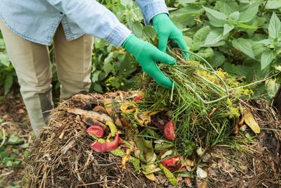 Before You Buy Compost, Look at What’s Going in Your Trash