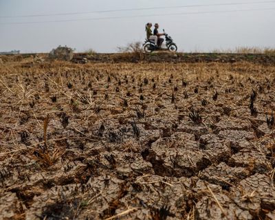 The Guardian view on a supersized El Niño: a natural phenomenon and human folly are a lethal combination