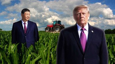 The Collapse of Farm Exports Is the Most Underappreciated Story in American Politics
