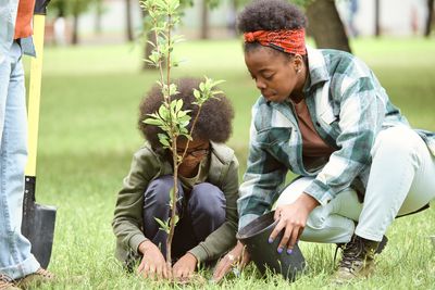 Planting a Tree This Fall? This $0 Mistake Can Kill a $100 Tree