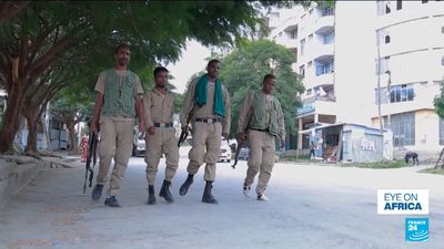 Tigray rebels in 'full-blown' war with government